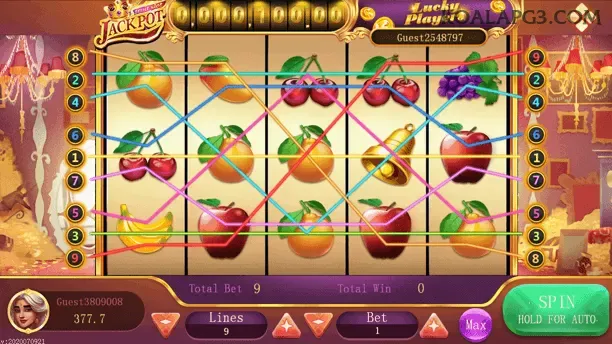 Comparação APP mobile vs versão web da koalapg